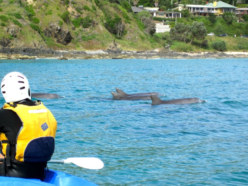 Byron Bay: The Byron Bay Sea Kayak Tour - A Deep Dive into the Byron Bay Sea Kayak Tour