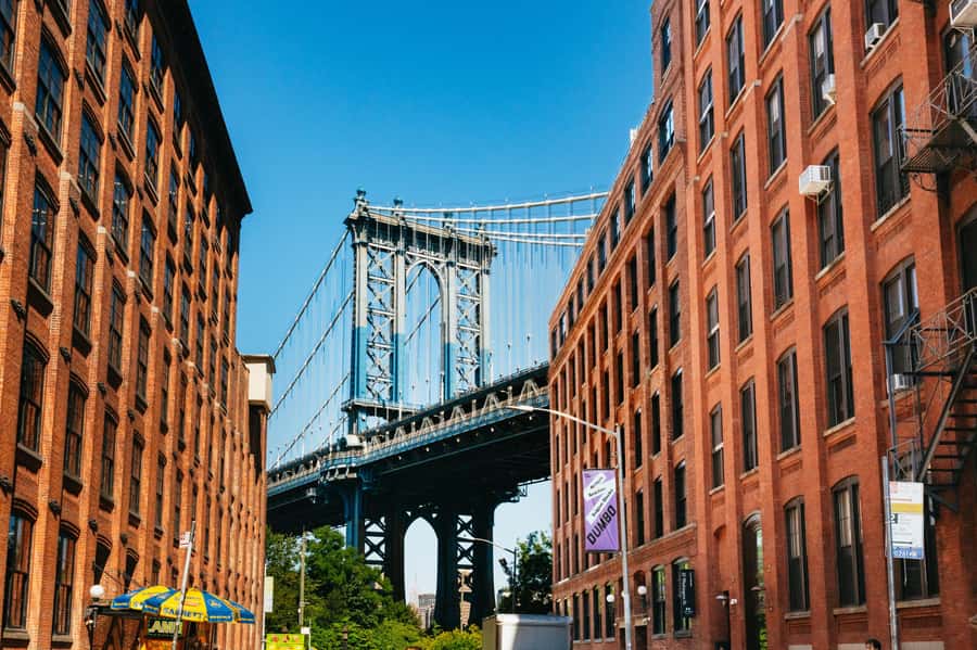 NY Contrasts: Brooklyn, Bronx, Harlem, Queens & Coney Island - The Bronx and Yankee Stadium