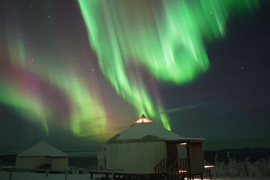 Fairbanks: Late Night Yurt Dinner and Northern Lights - Who Should Consider This Tour?