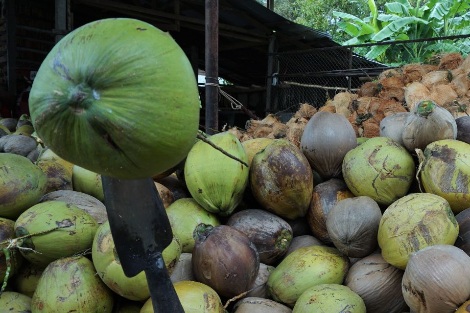 Koh Samui: 4x4 Off Road Island Safari Tour Including Lunch - FAQ