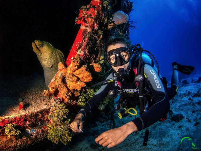 Scuba Dive in Playa del Carmen - 2 Dives (Certified divers) - Final Thoughts: Is It Worth It?