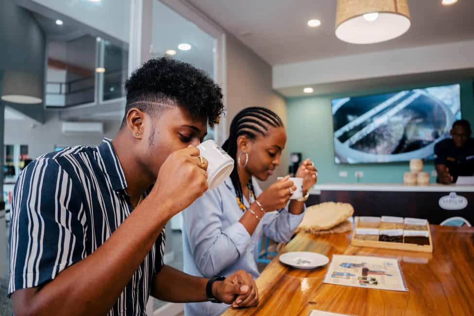 Montego Bay: Dunns Catamaran Sail & Snorkel with Zipline - Why This Tour Offers Value