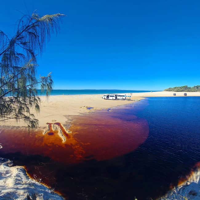 From Brisbane: Bribie Island Day Trip - 4WD Beach Excursion: Traversing the Sand