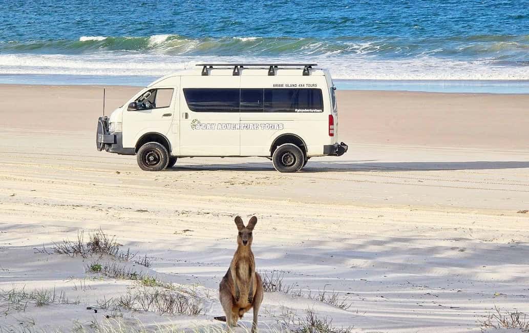 From Brisbane: Bribie Island Day Trip - Free Time and Additional Exploration