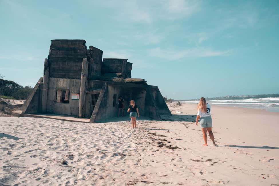 From Brisbane: Bribie Island Day Trip - Overall Experience and Value