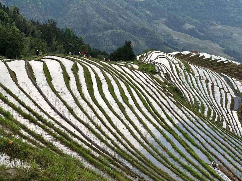 Guilin: Day tour of Longji Rice Terraces and Yangshuo - Final Words