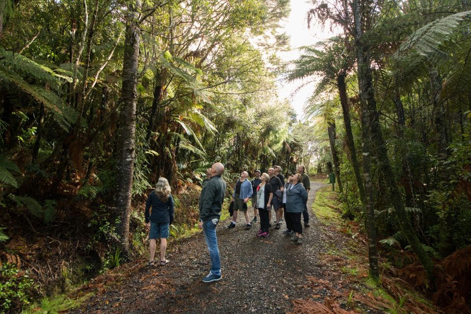 Waitakere Ranges Wilderness Experience Tour from Auckland - Key Points