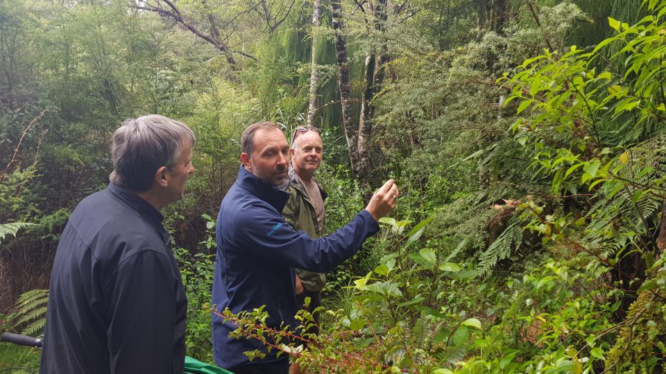 Waitakere Ranges Wilderness Experience Tour from Auckland - Who Will Love This Tour?