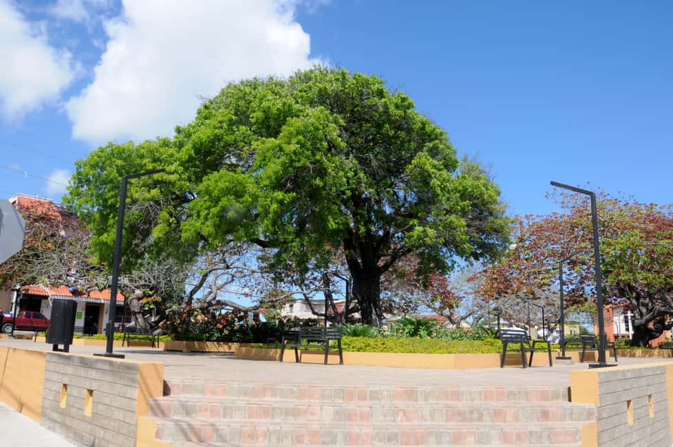 Puerto Plata City Tour and Cable Car Ride - Who Should Book This Tour?