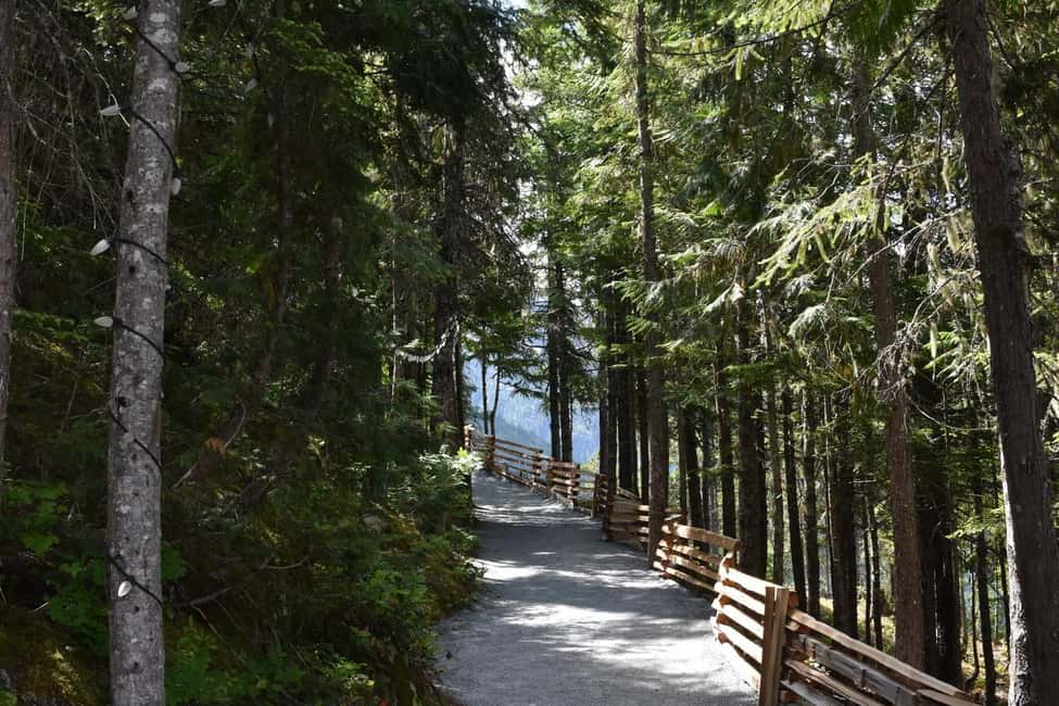 Whistler, Sea to Sky Gondola, and Shannon Falls Day Trip - The Overall Experience: What Travelers Say