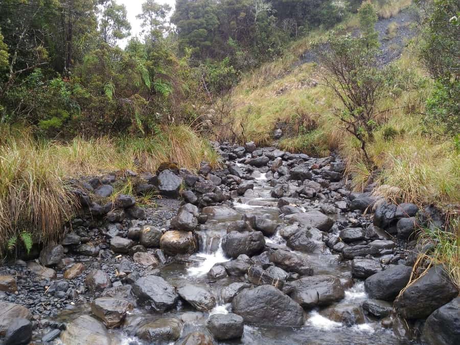 From Bogotá: Chingaza National Park Eco Tour - Frequently Asked Questions