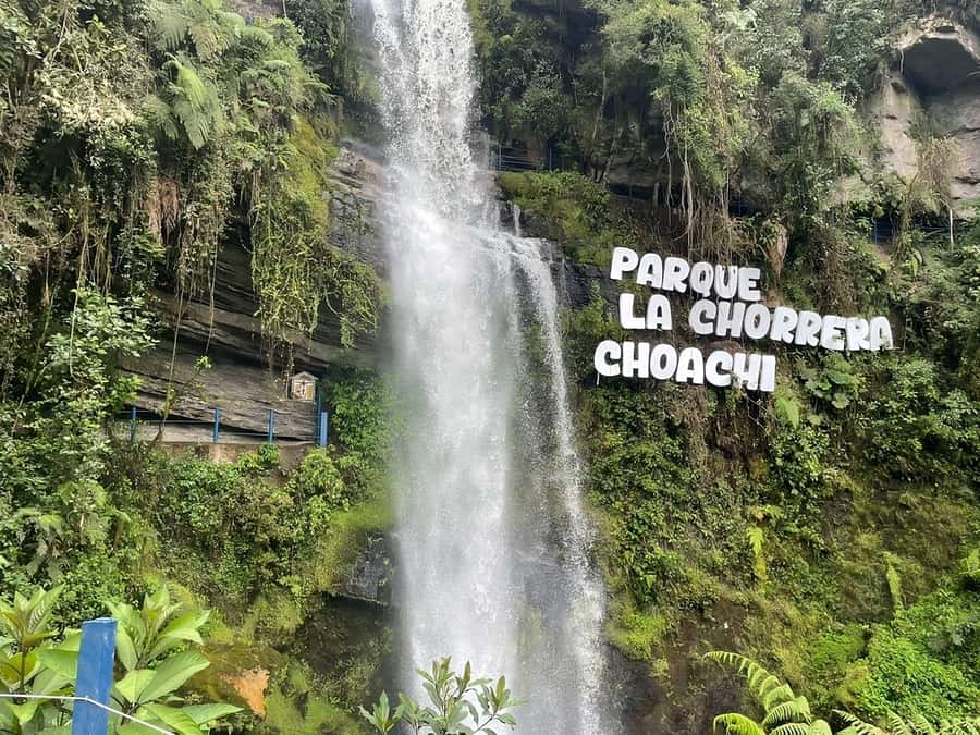 From Bogotá: Chingaza National Park Eco Tour - Who Should Consider This Tour?