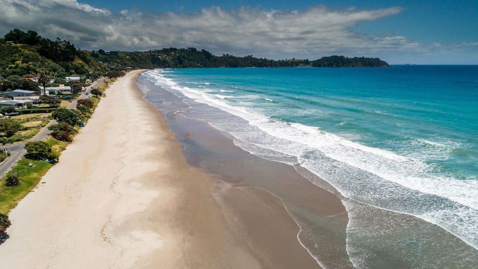 Waiheke Island Gourmet Food and Wine Tour with Platter Lunch - The Itinerary Breakdown