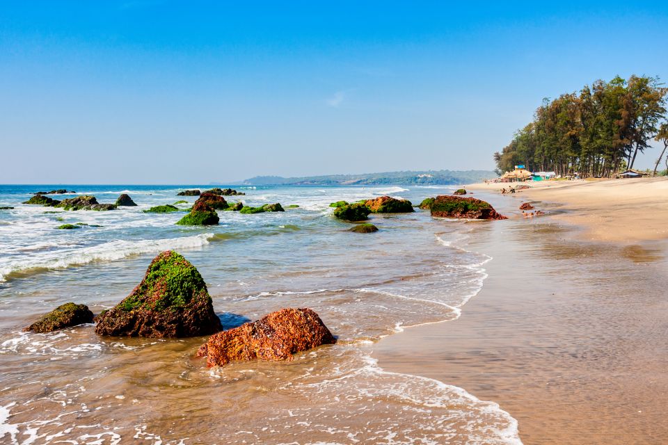 Beautiful Goa Beach Tour - What to Expect from the Experience