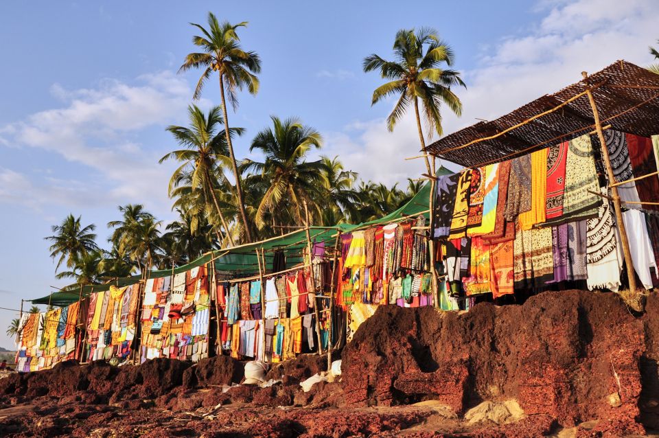 Beautiful Goa Beach Tour - Final Thoughts: Who Is This Tour Best For?