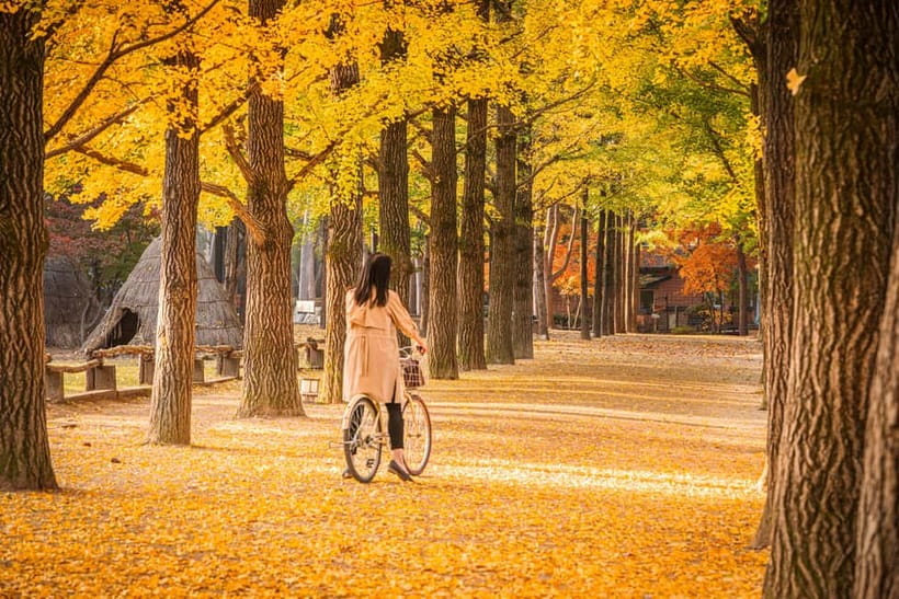 Seoul: Nami Island and Garden of Morning Calm (opt Railbike) - An In-depth Look at the Experience