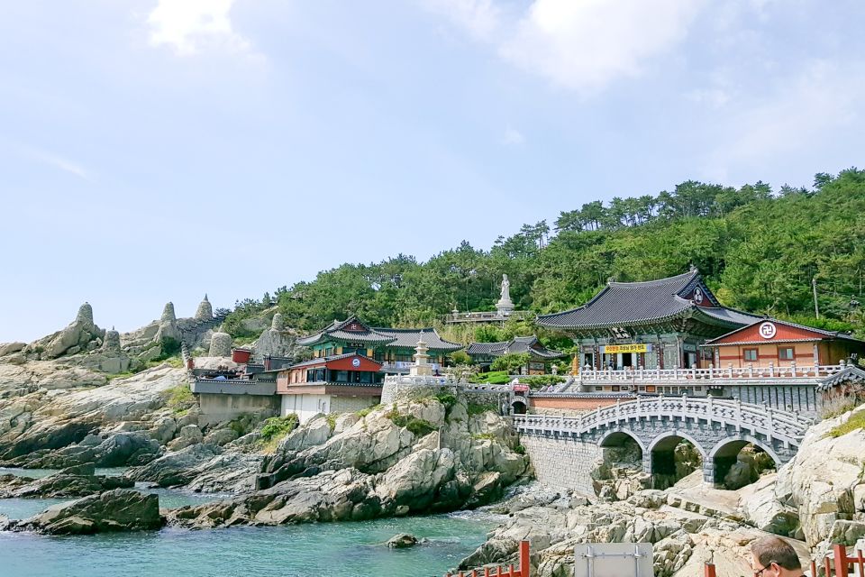 Busan: Haedong Yonggungsa Temple, Camellias Island & More - A Practical Breakdown of the Busan Tour