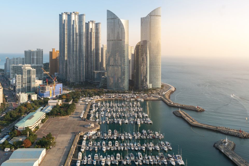 Busan: Haedong Yonggungsa Temple, Camellias Island & More - Final Thoughts