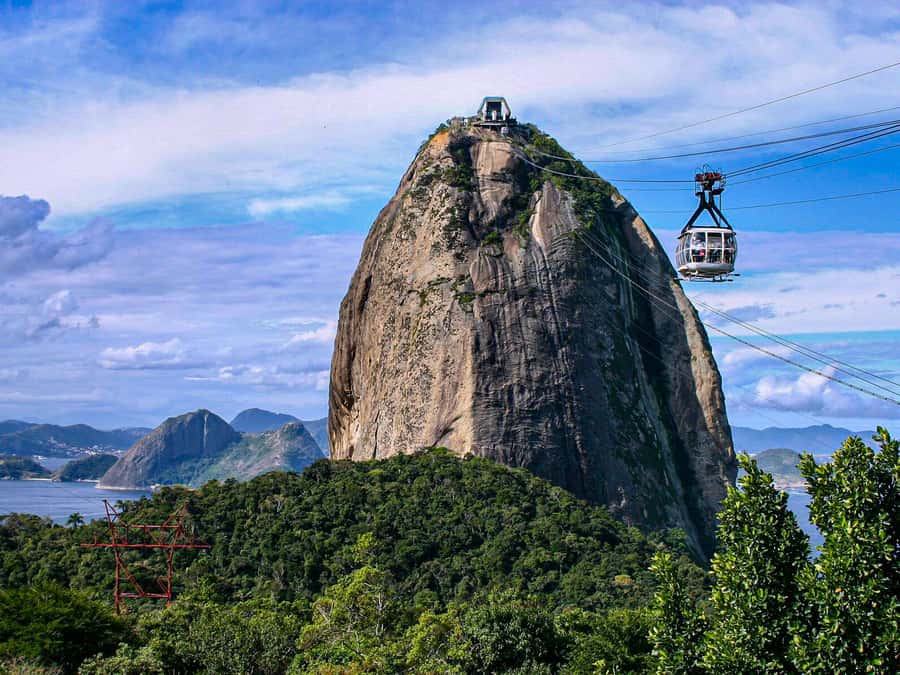 Christ the Redeemer and Escadaria Selarón Half-Day Tour - An In-Depth Look at the Tour