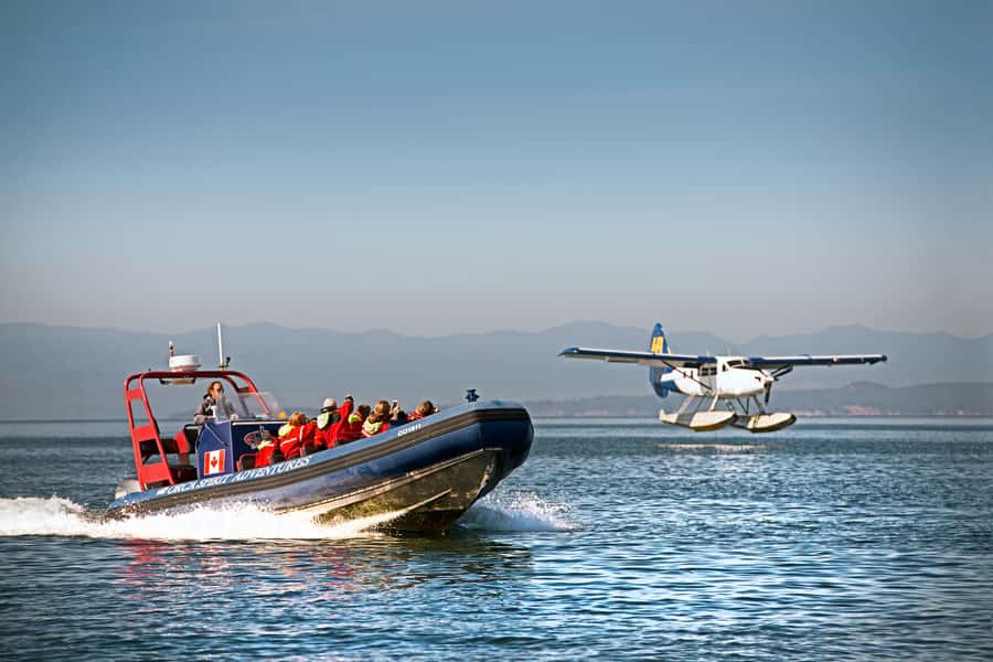 Vancouver: Victoria Day Trip by Seaplane and Whale Watching - Who Would Love This Tour?