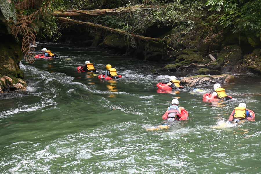 Rotorua Sledging: Kaituna White Water River Board Experience - Final Thoughts