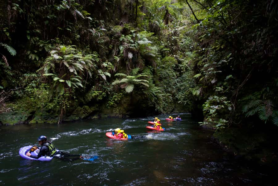 Rotorua Sledging: Kaituna White Water River Board Experience - The Value of the Kaituna River Sledging Tour