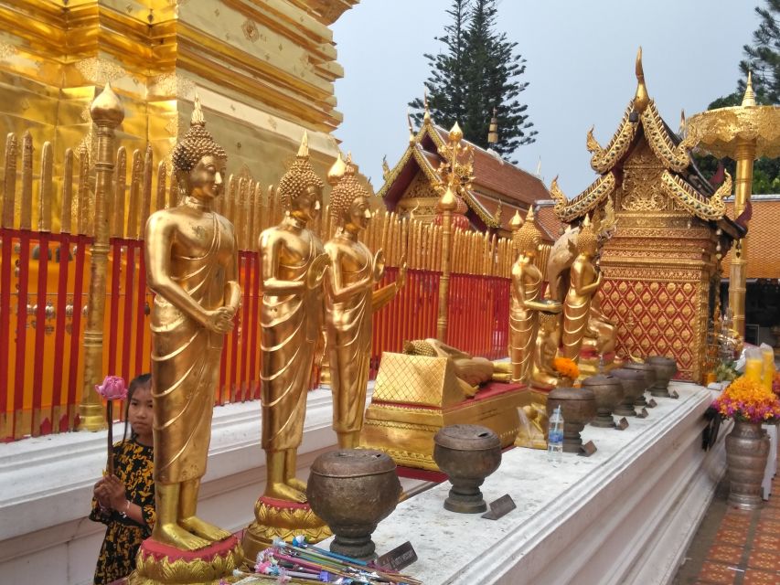 Chiang Mai: 7-Hour Doi Suthep National Park Summit Hiking - FAQ