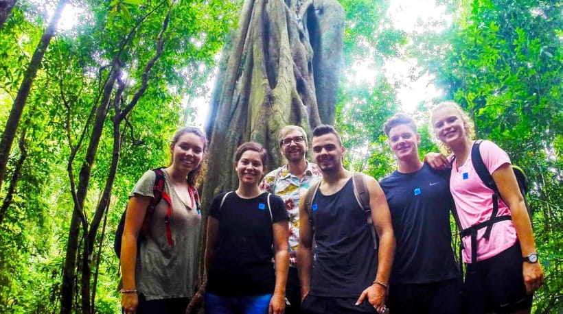 Chiang Mai: 7-Hour Doi Suthep National Park Summit Hiking - An In-Depth Look at the Doi Suthep Summit Hiking Experience