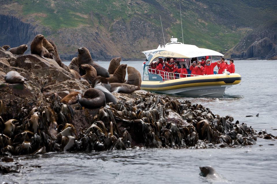 Hobart: Bruny Island Wilderness Coast Eco Cruise with Lunch - FAQ
