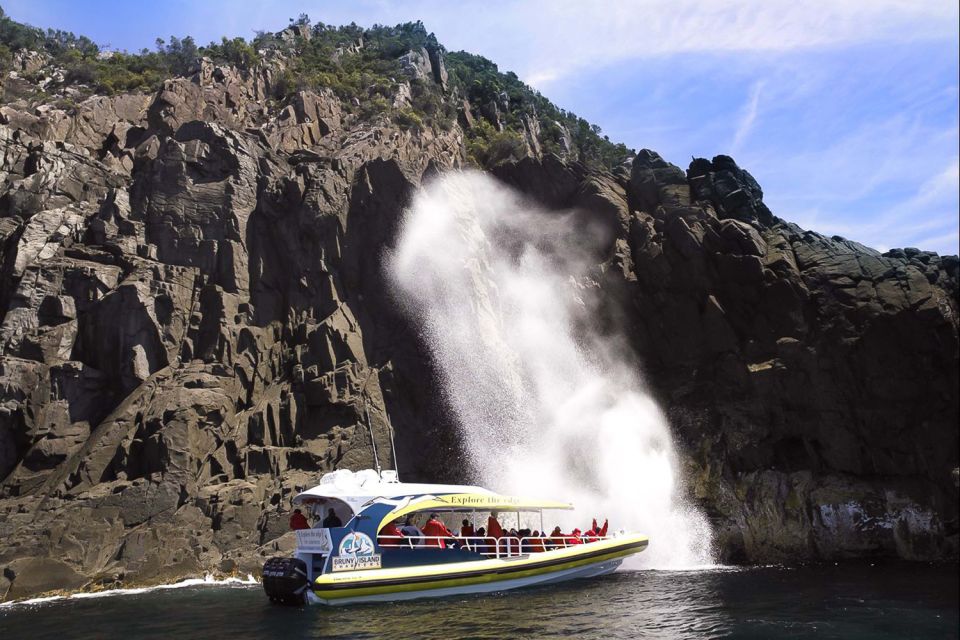Hobart: Bruny Island Wilderness Coast Eco Cruise with Lunch - An In-Depth Look at the Bruny Island Wilderness Coast Eco Cruise