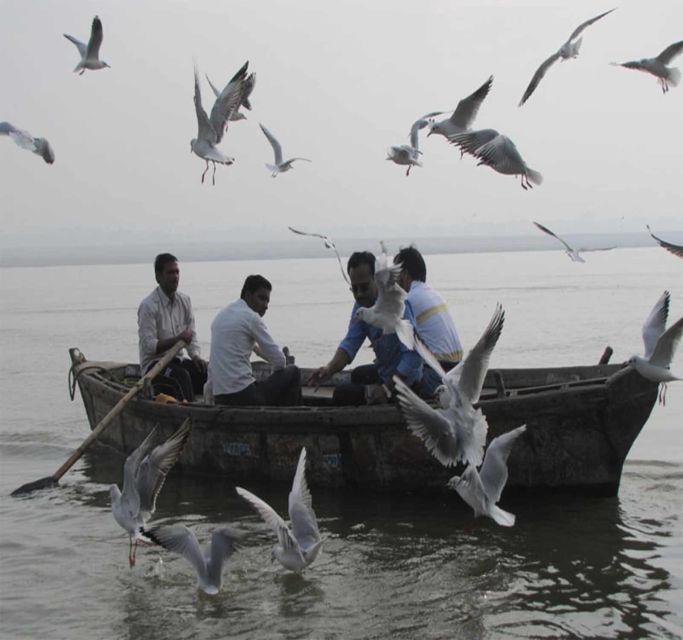 Varanasi: Morning Aarti with Boat Ride & Rooftop Breakfast - Key Points