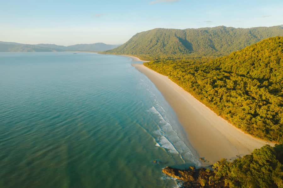 Cairns: Cape Tribulation, Mossman Gorge & Daintree Day Tour - Practical Considerations and Value