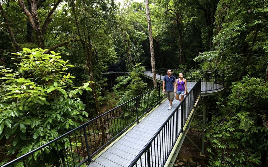 Cairns: Cape Tribulation, Mossman Gorge & Daintree Day Tour - Key Points