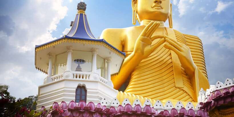 From Negombo: Sigiriya and Dambulla Day Trip and Safari - Authentic Feedback: What Real Travelers Say