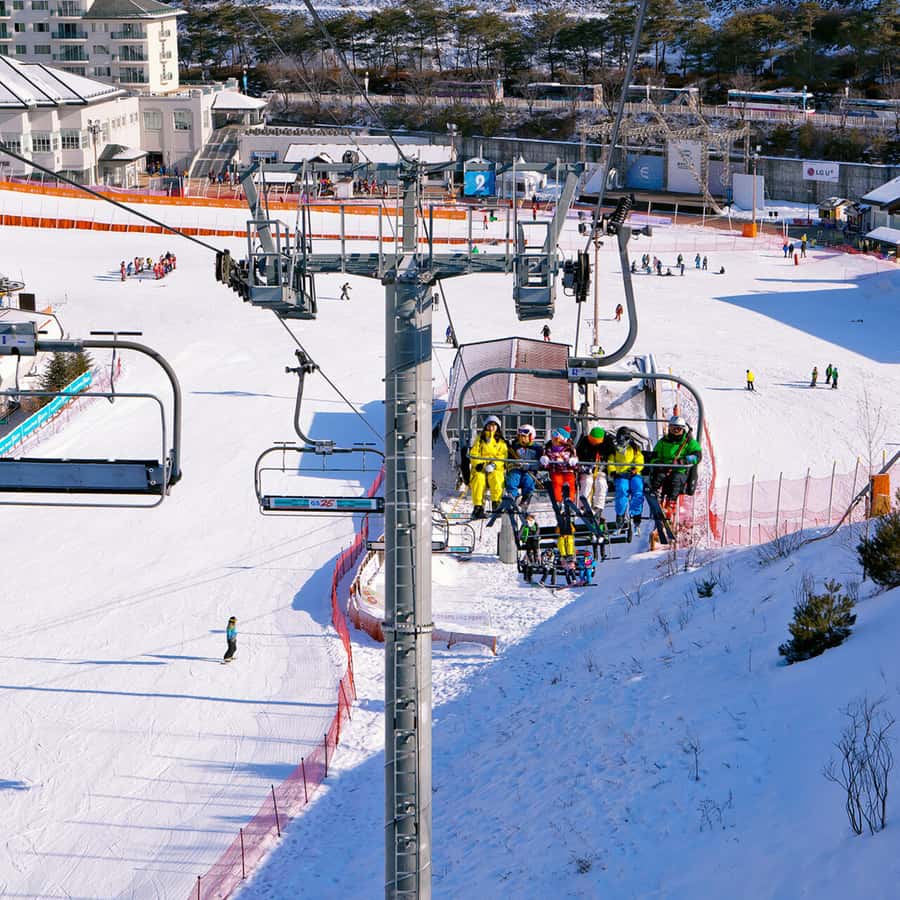 Seoul: Elysian Gangchon Winter Ski with Eobi Ice Valley Tour - Activities to Suit Every Preference