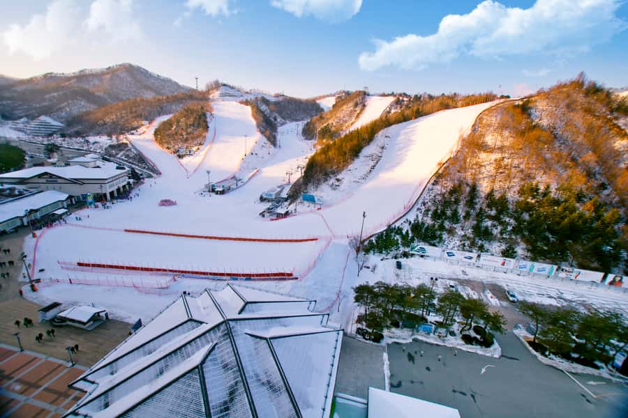 Seoul: Elysian Gangchon Winter Ski with Eobi Ice Valley Tour - The Experience from a Reviewers Perspective