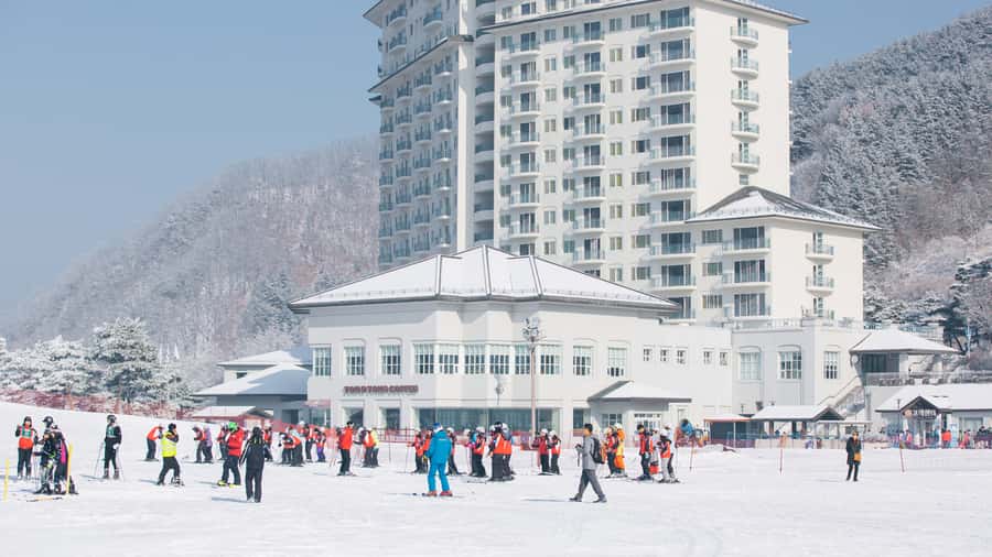 Seoul: Elysian Gangchon Winter Ski with Eobi Ice Valley Tour - Who Is This Tour Best For?