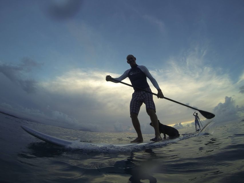 Sosua 2-Hour Stand Up Paddle Boarding - Key Points