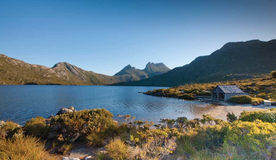 Cradle Mountain: Fully Guided Dove Lake Day Tour with Lunch - Value and Cost Analysis