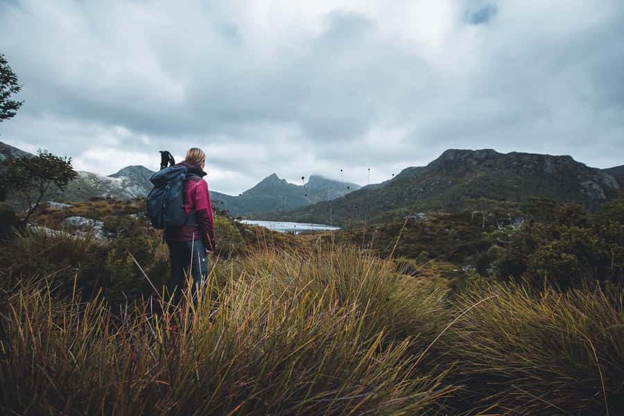 Cradle Mountain: Fully Guided Dove Lake Day Tour with Lunch - A Closer Look at the Tour Itinerary