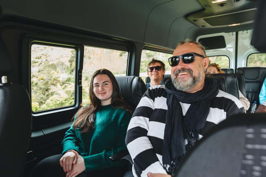 Wellington: Half Day Seal Coast Safari - Good To Know