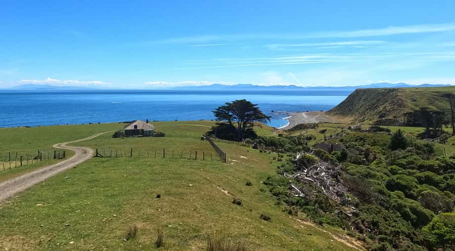 Wellington: Half Day Seal Coast Safari - Who Is This Tour Best For?