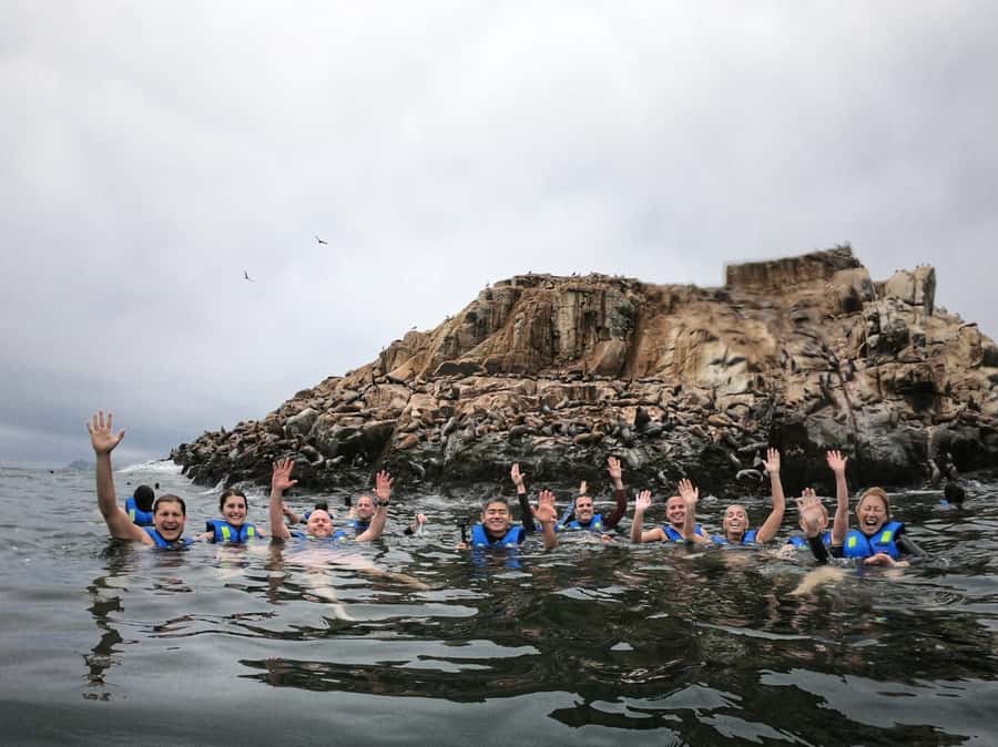 Callao: Swimming with Sea Lions Palomino Islands Boat Tour - What’s Included and What’s Not