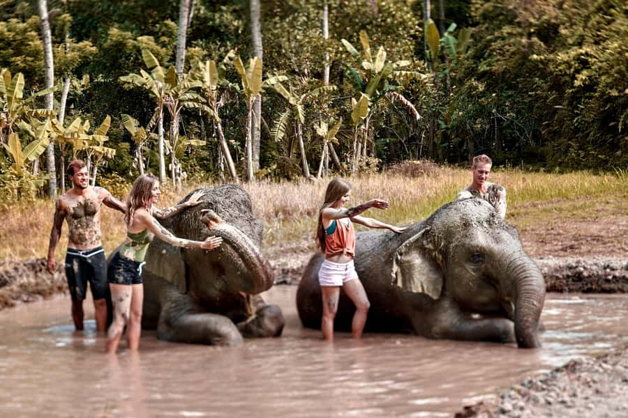 Bali Zoo: Guided Ethical Elephant Care Experience - Key Points
