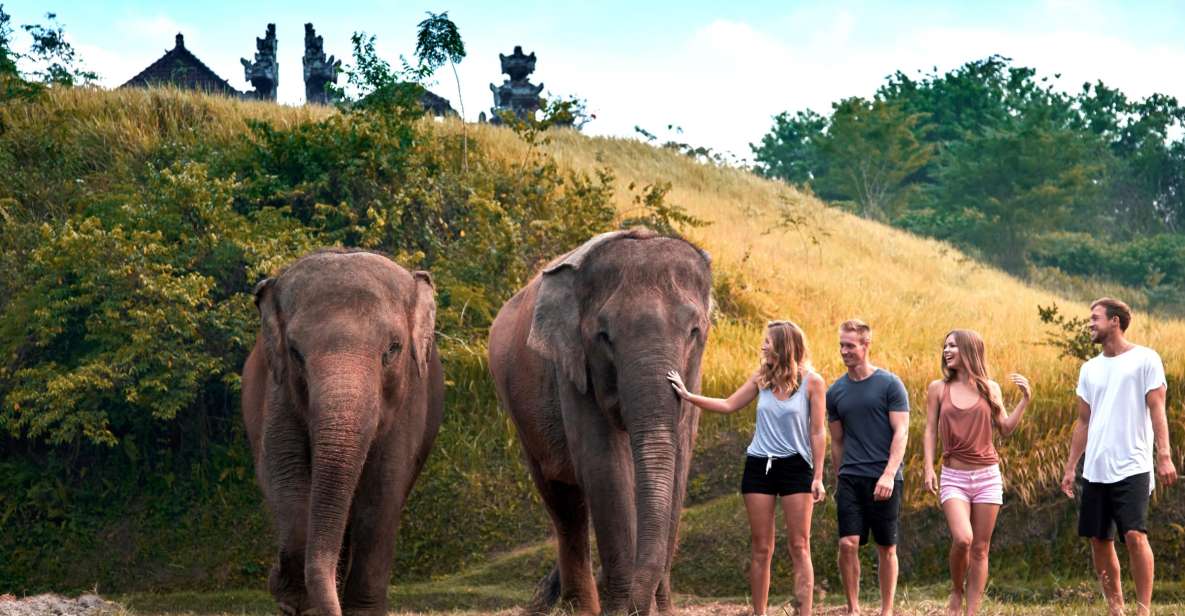 Bali Zoo: Guided Ethical Elephant Care Experience - Price and Value Analysis