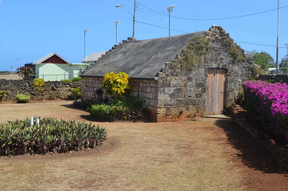 Tobago: Half-Day Highlights Tour - Good To Know