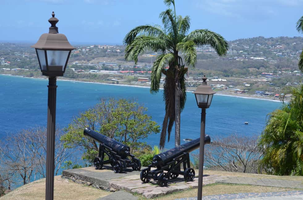 Tobago: Half-Day Highlights Tour - What to Expect from the Tobago Half-Day Highlights Tour