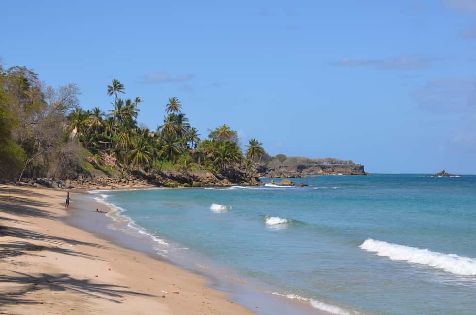 Tobago: Half-Day Highlights Tour - Who Is This Tour Best For?