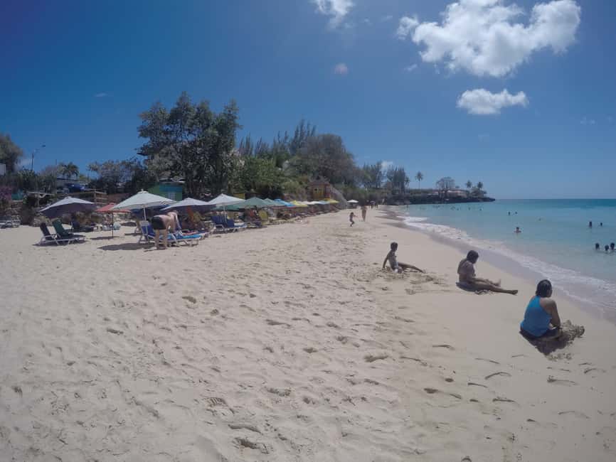 Tobago: Half-Day Highlights Tour - FAQ