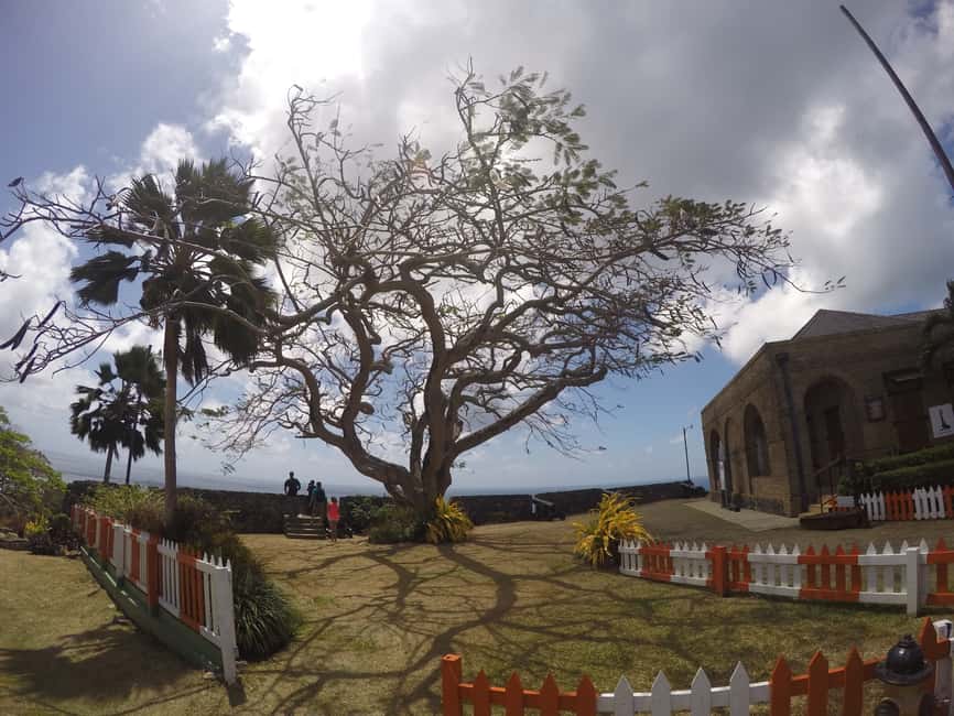 Tobago: Half-Day Highlights Tour - The Sum Up